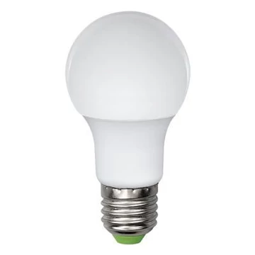 LED NORM E27 9W 6500K *