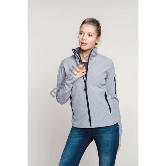 Ladiesˊ Softshell Jacket